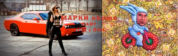 гидропоника Алзамай