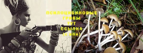 соль курить ск Алексин