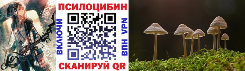 Галлюциногенные грибы MAGIC MUSHROOMS  Курчалой 