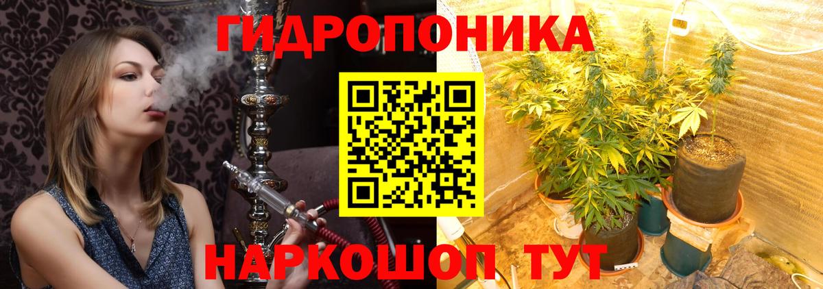 Шишки марихуана ГИДРОПОН  Бошки Шишки Ganja  Курчалой  Вход с VPN  Марихуана план 